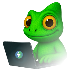 Karma mascot with laptop